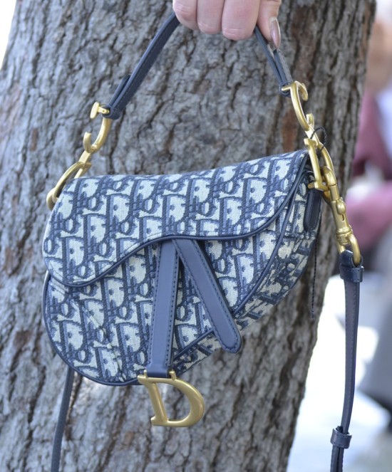 Dior Borsa a tracolla Saddle