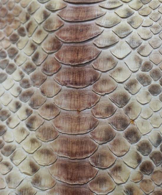 Ghibli Python and Leather Bag